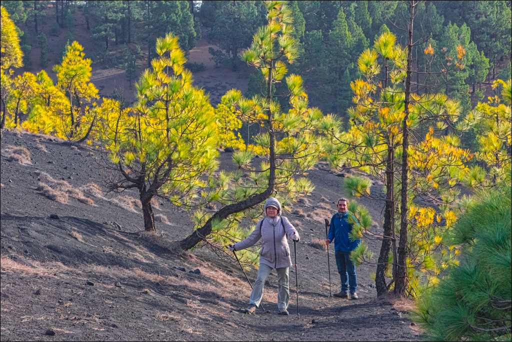 La Palma 27 28dec2022 186