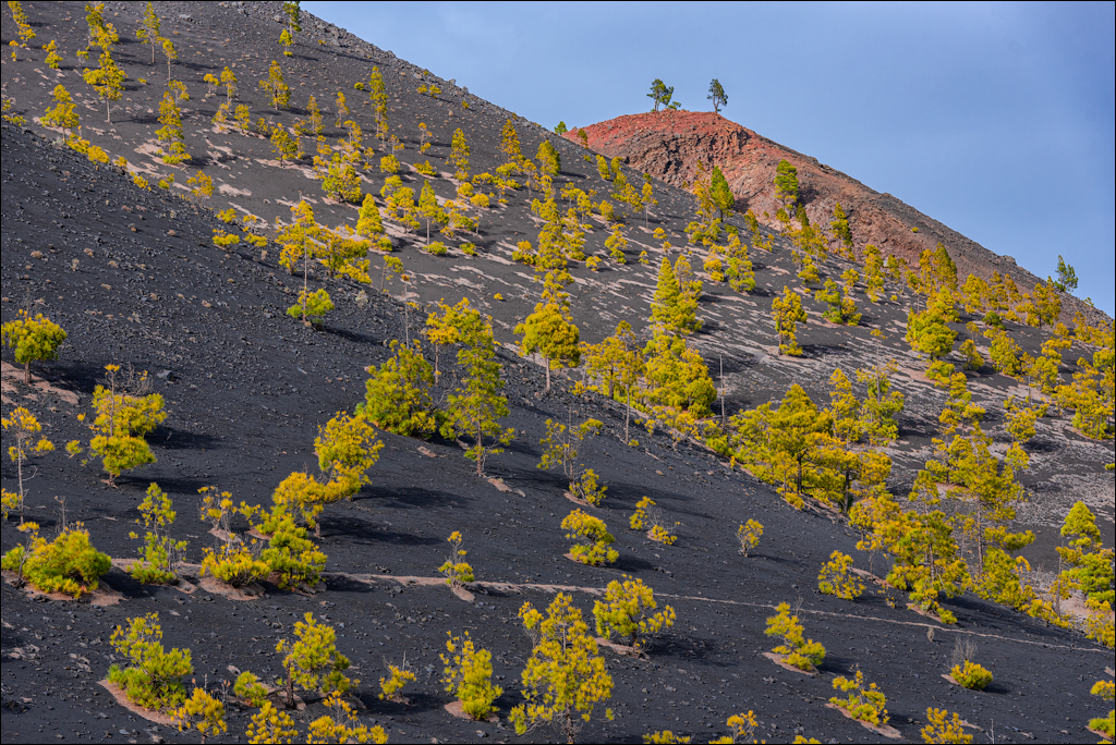 La Palma 27 28dec2022 190