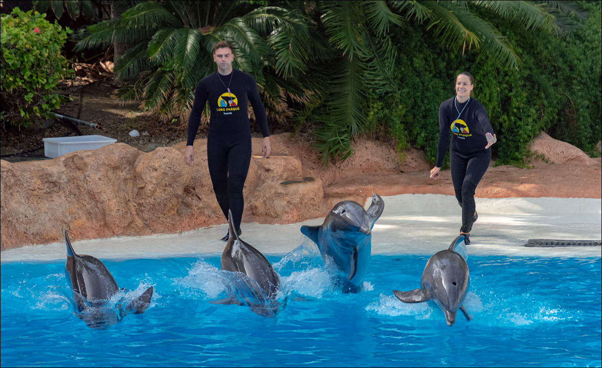 PuertoDeLaCruz 31dec 01jan2023165