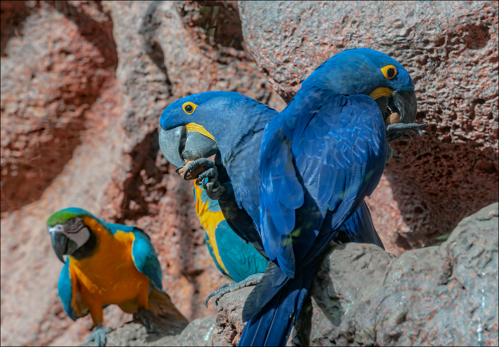 PuertoDeLaCruz 31dec 01jan2023172