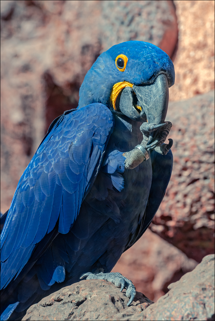 PuertoDeLaCruz 31dec 01jan2023182