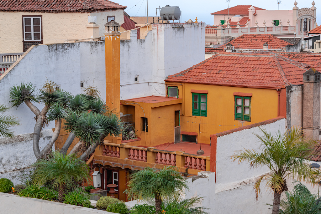 Saint Augustine 30dec2023 117