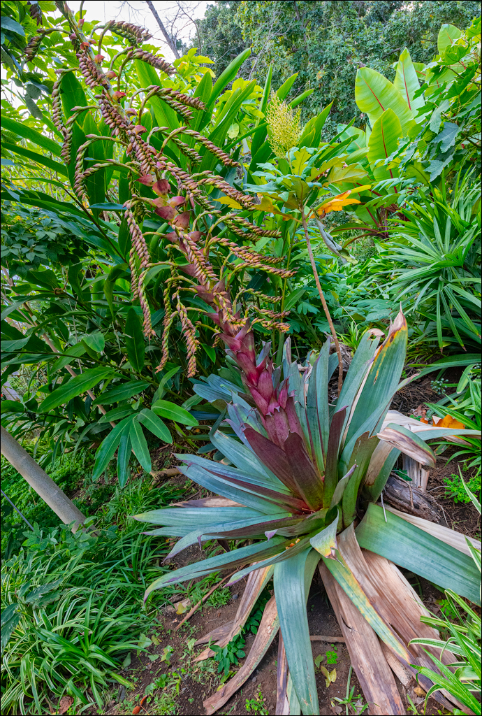 Saint Augustine 30dec2023 131