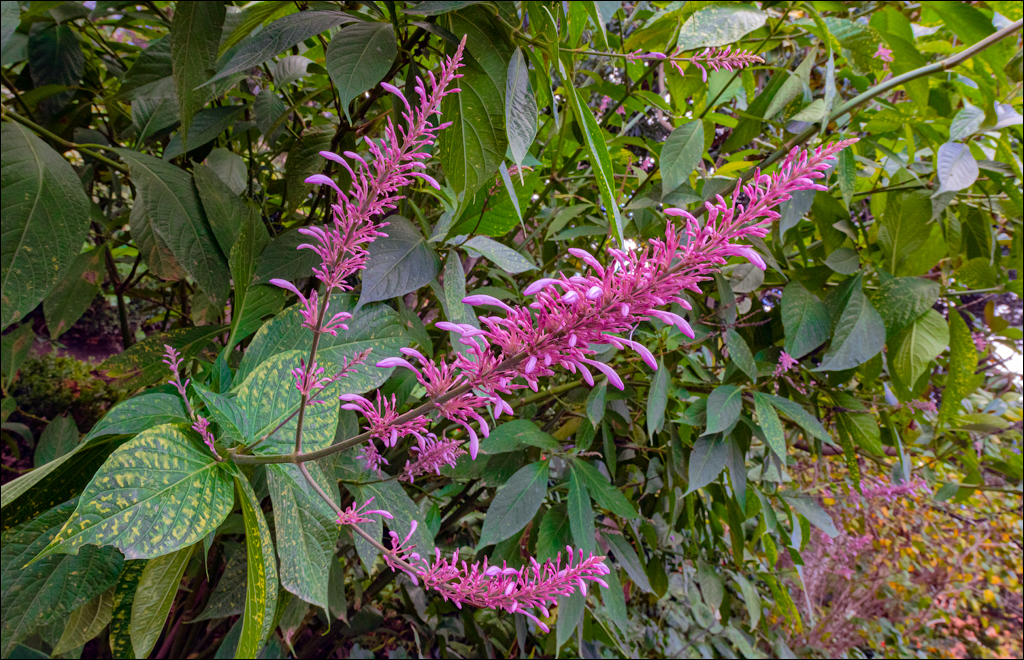 Saint Augustine 30dec2023 132