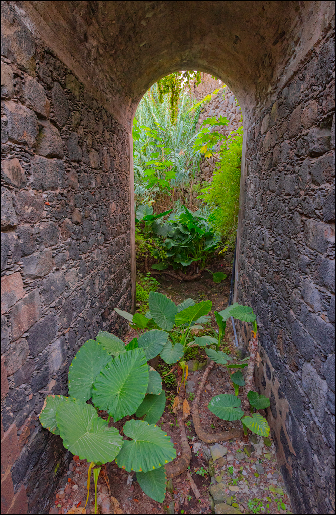 GarachicoLosVinos 31dec2023 149