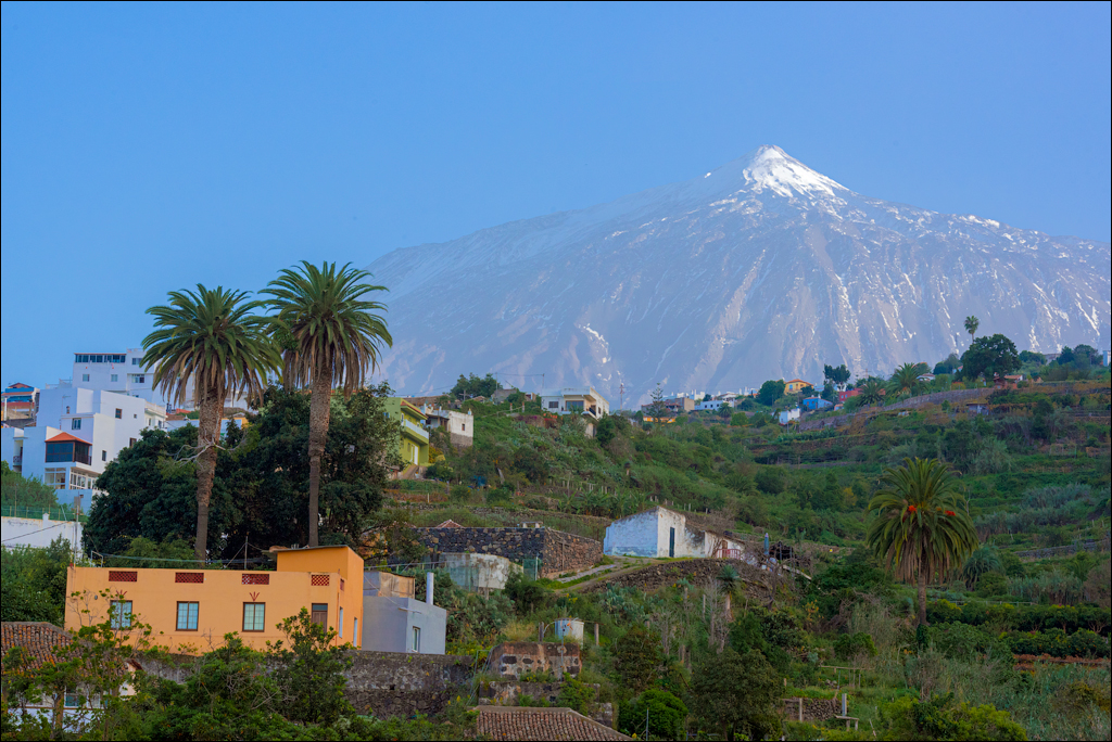 GarachicoLosVinos 31dec2023 153