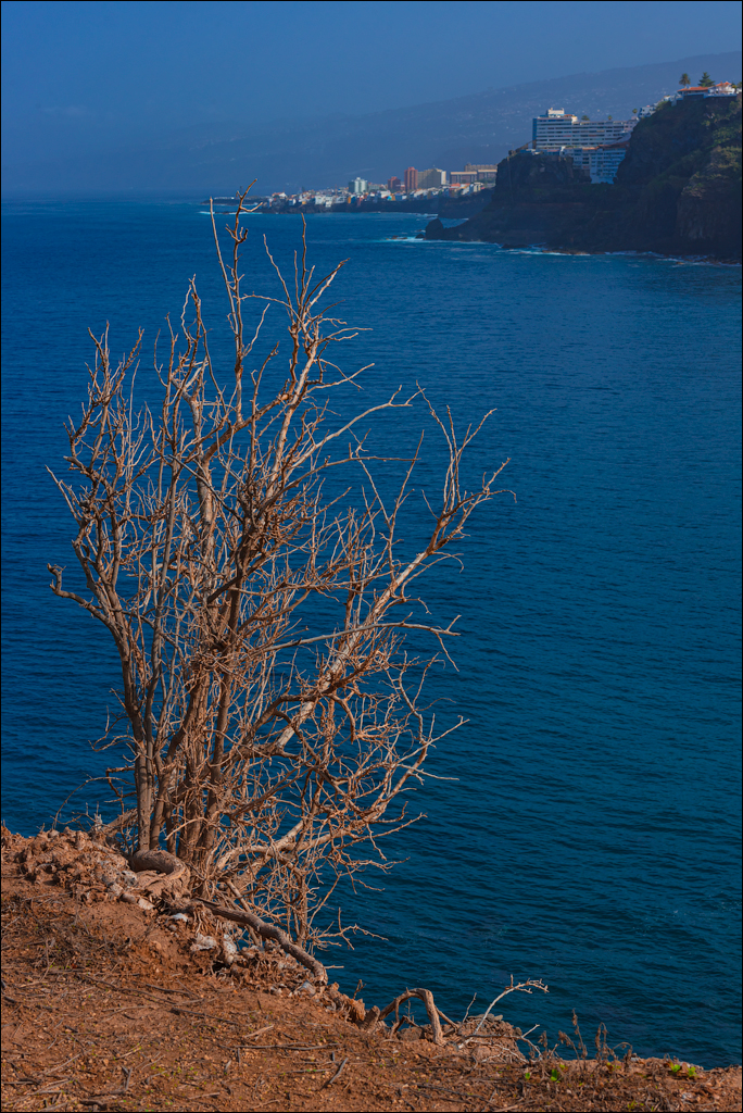 PiscinasElGuindaste PlayaLosRoques 01jan2023 115