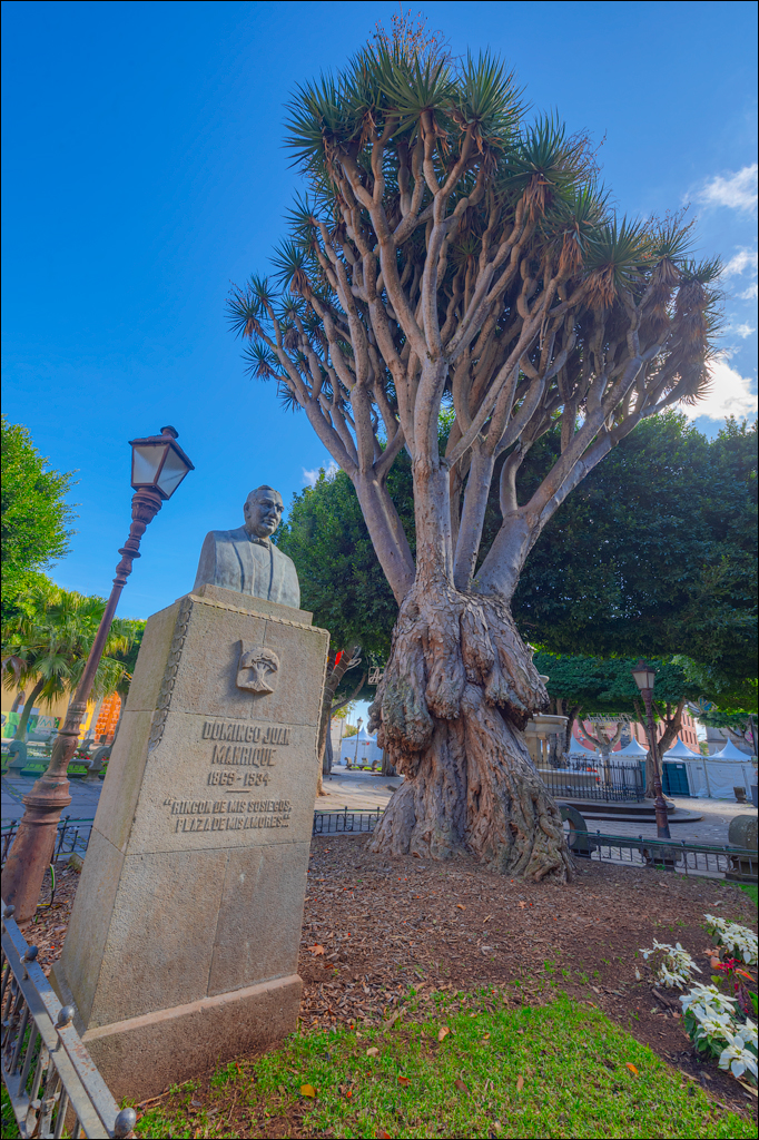 SanCristobalDeLaLaguna 06jan2023 112