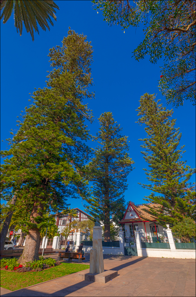 SanCristobalDeLaLaguna 06jan2023 134