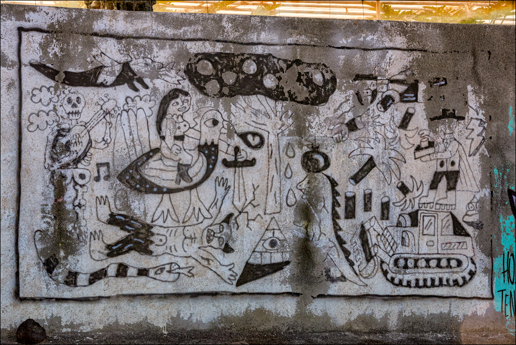 PuntaDelHidalgo 07jan2023 132