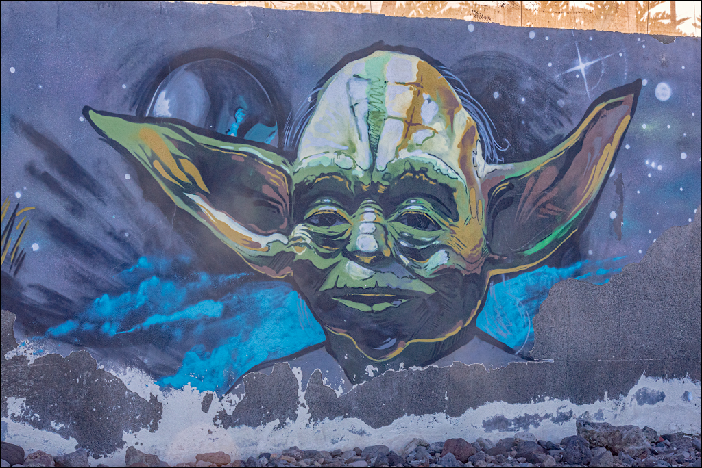 PuntaDelHidalgo 07jan2023 133