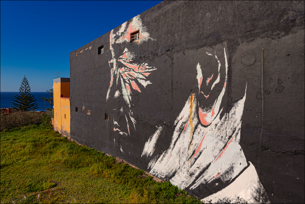 PuntaDelHidalgo 07jan2023 136