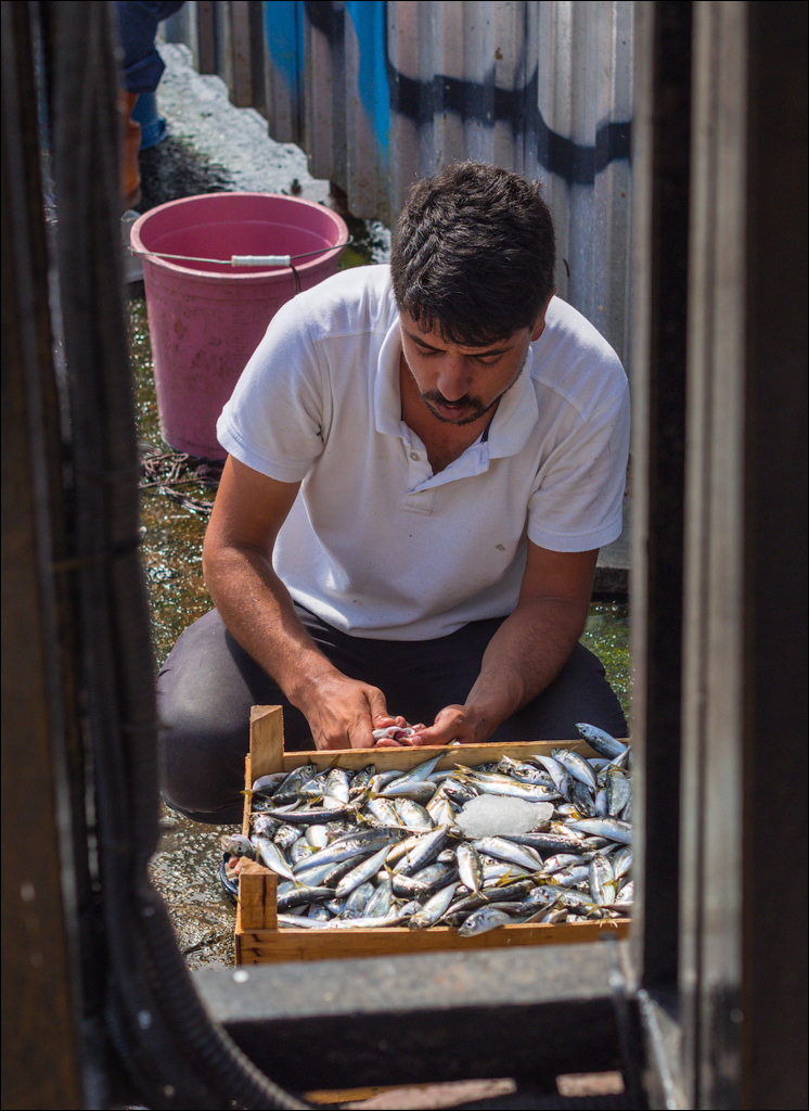 Istanbul 2015 20150815059