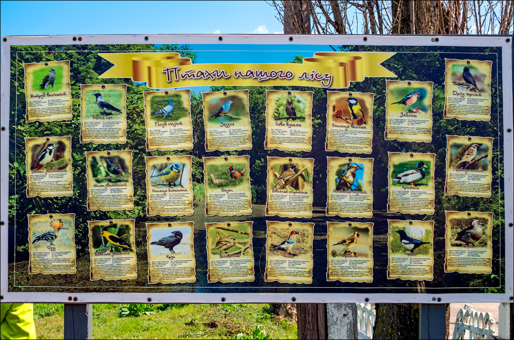 Aktov Canyon 20190420016