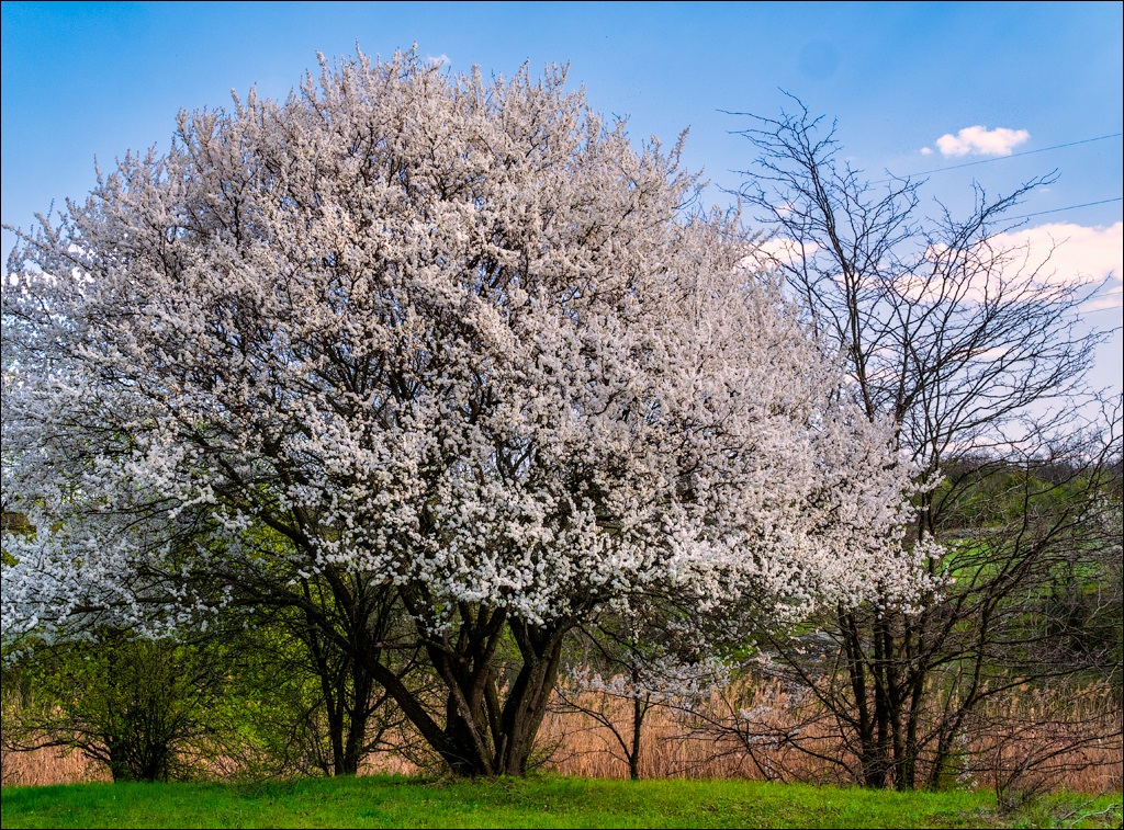 Aktov Canyon 20190420033