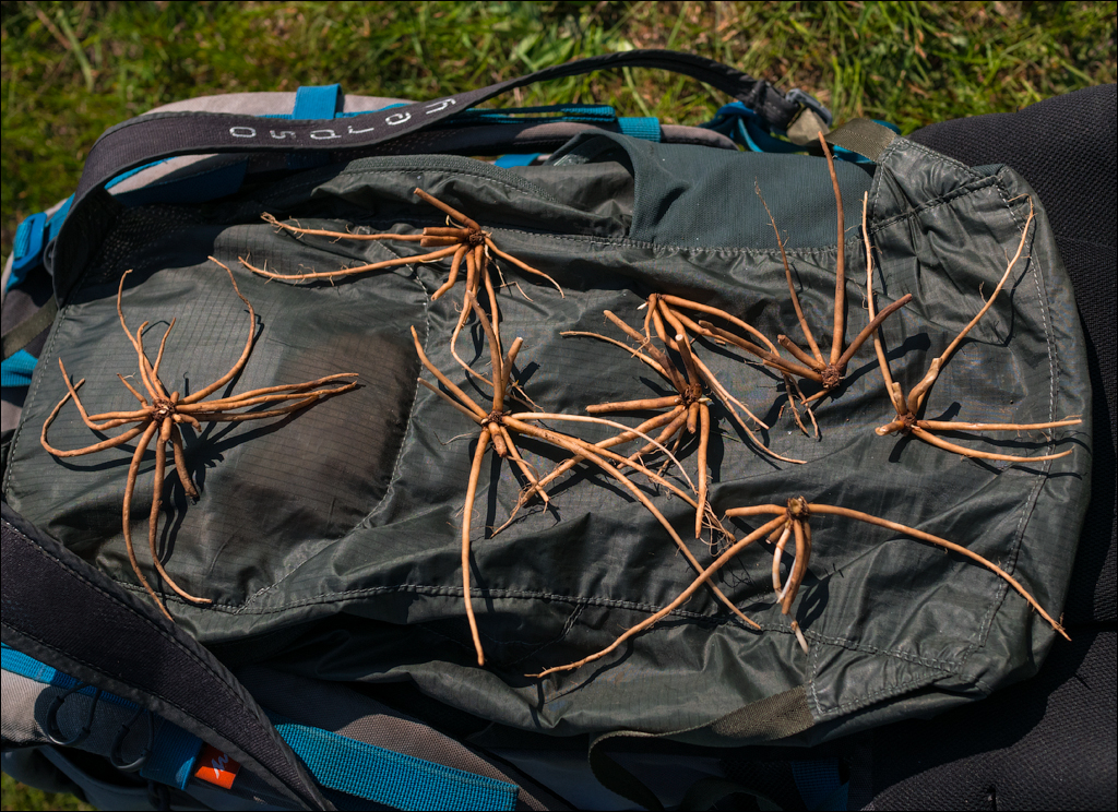 Aktov Canyon 20190420080