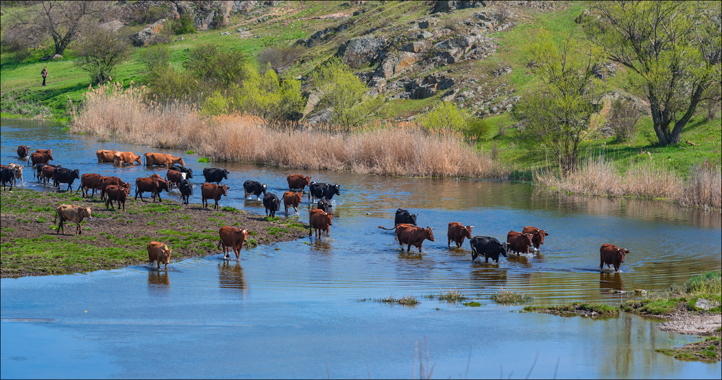 Aktov Canyon 20190420098