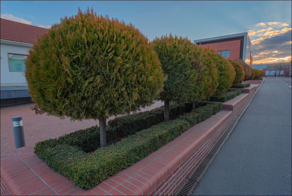 Belgorod Shabo 13feb2022 202