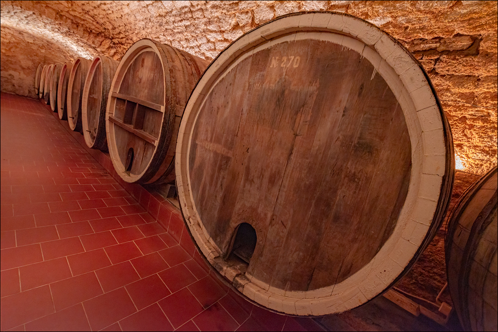 Belgorod Shabo 13feb2022 209