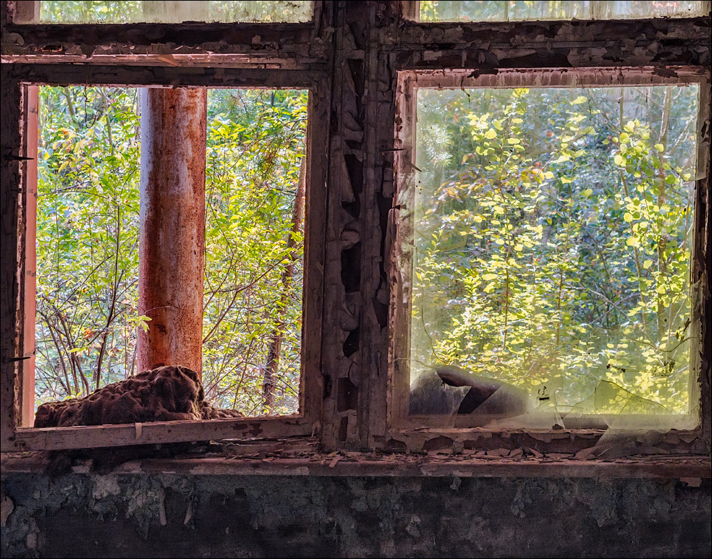 PripyatChernobyl Jun2018 197