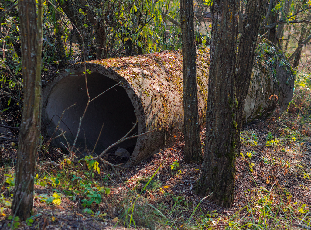 PripyatChernobyl Jun2018 211