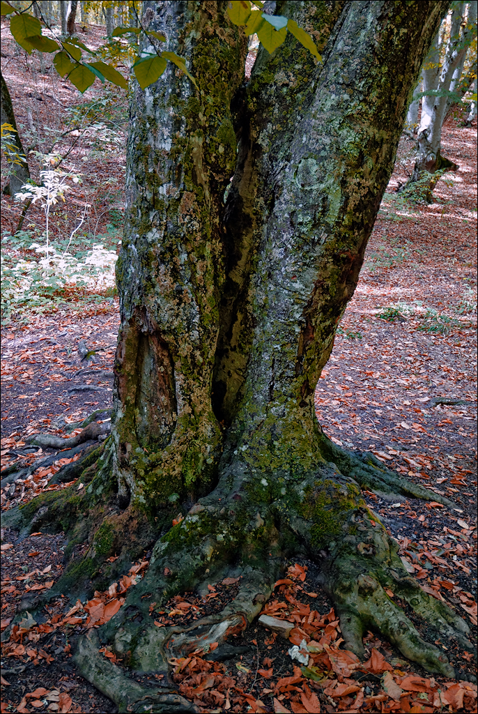 Crimea 201220170305279