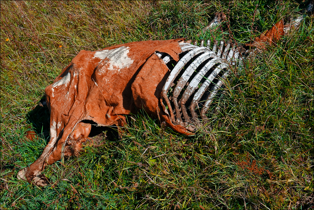 Crimea 201220170305414