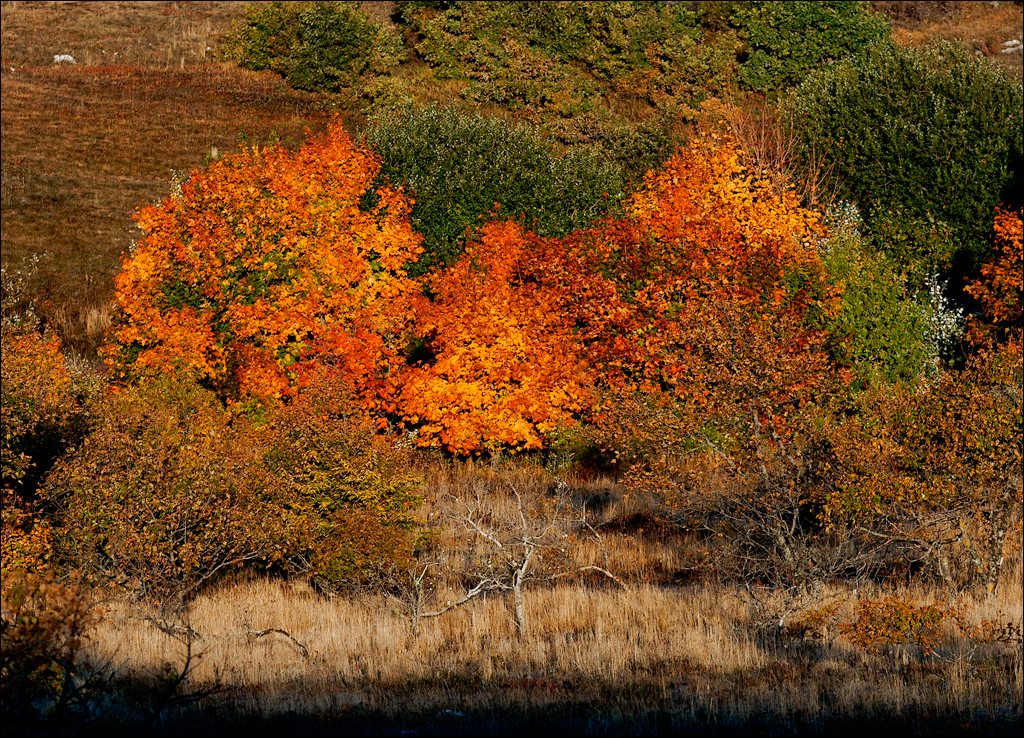 Crimea 201220170305438