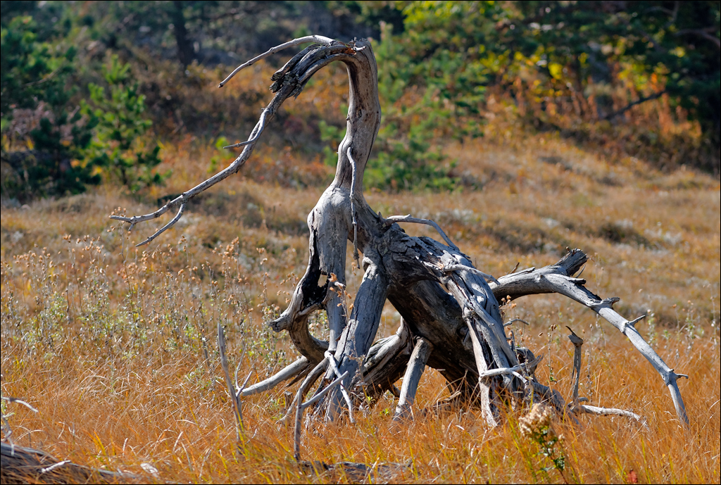 Crimea 201220170305454