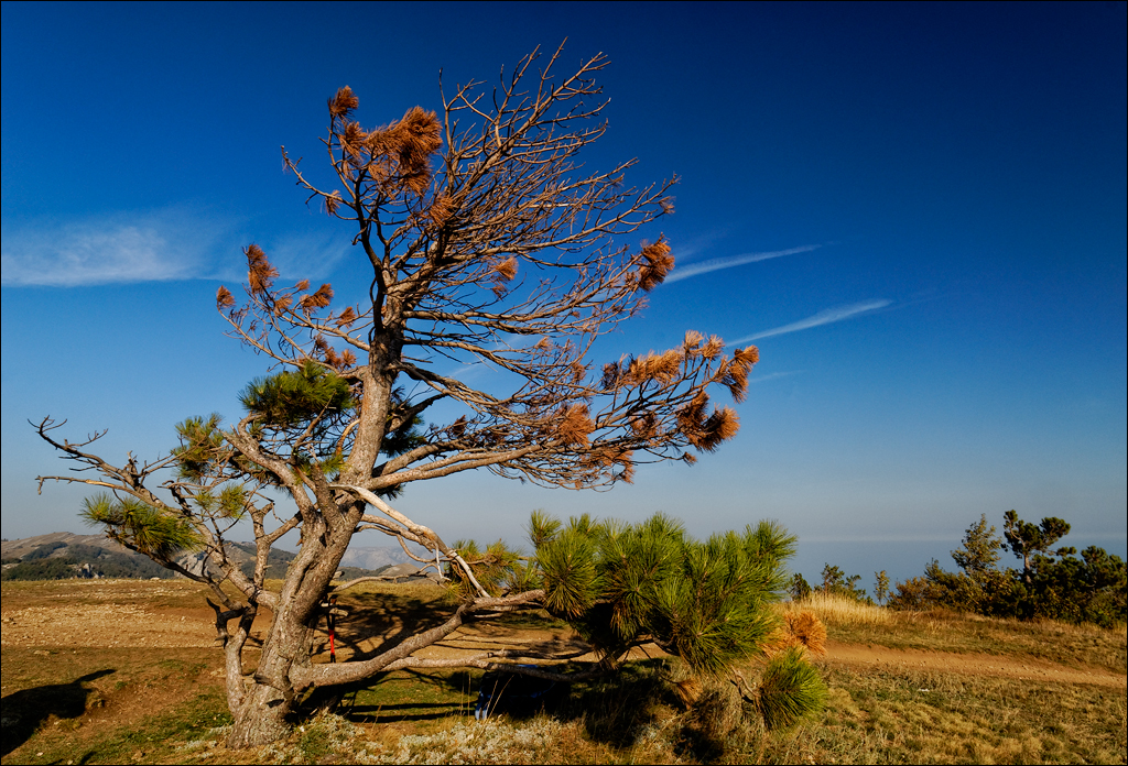 Crimea 201220170305462