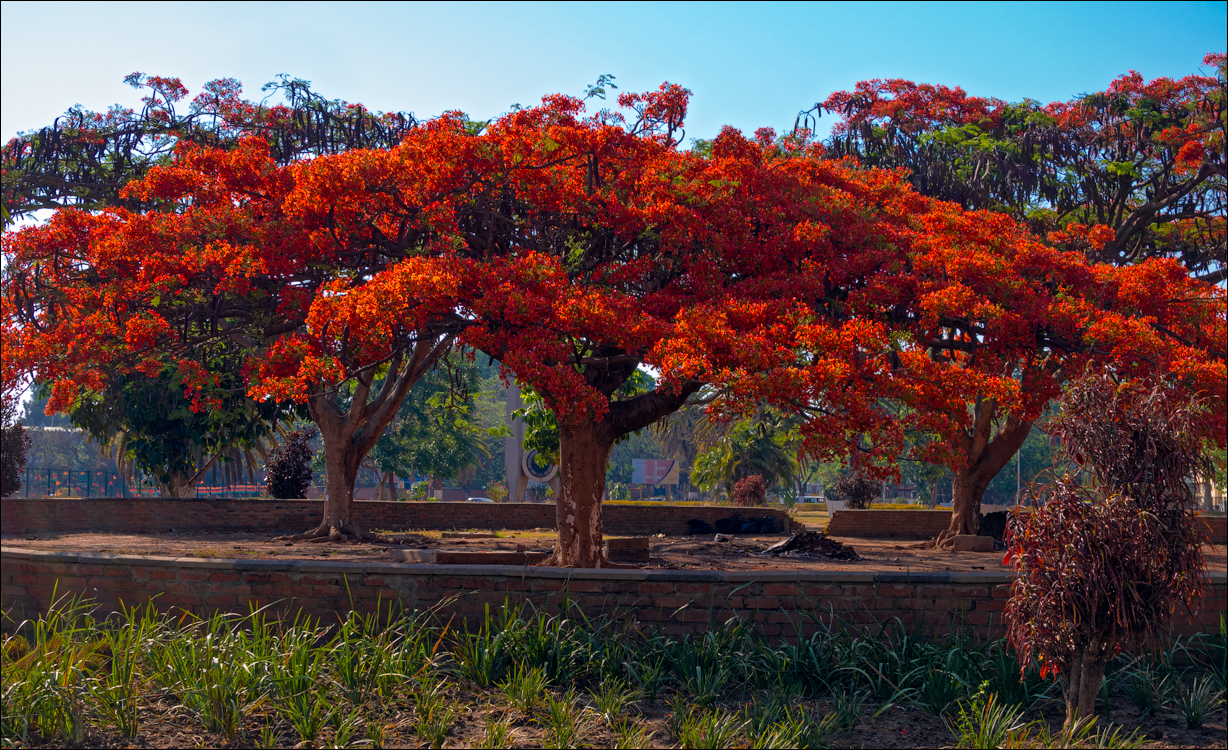 Zambia sep2014 P2 130