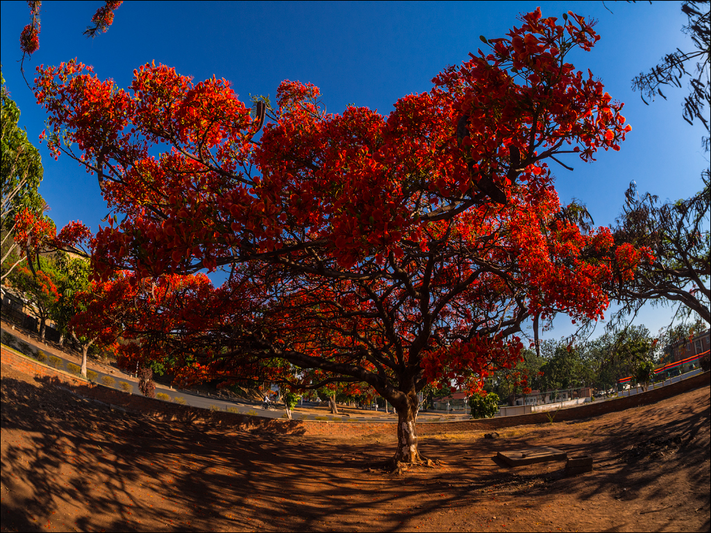 Zambia sep2014 P2 154