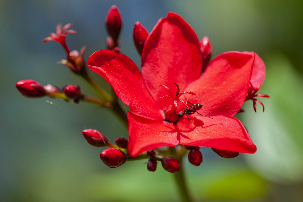 Zambia 20080419 20 106