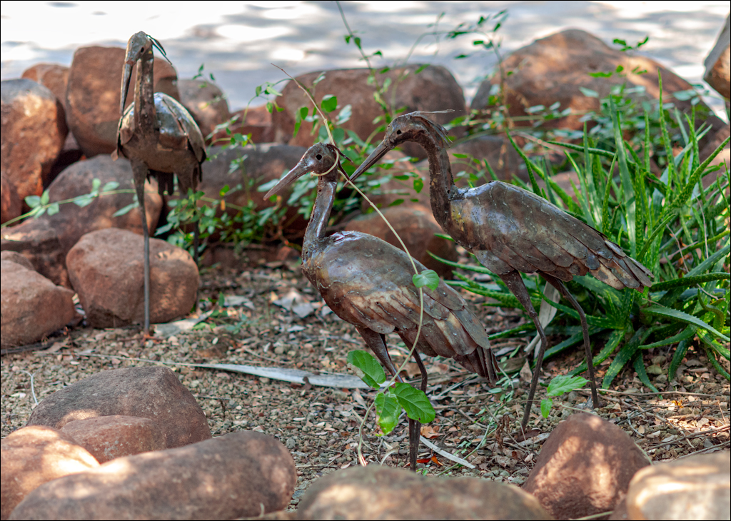 Zambia 20080419 20 108