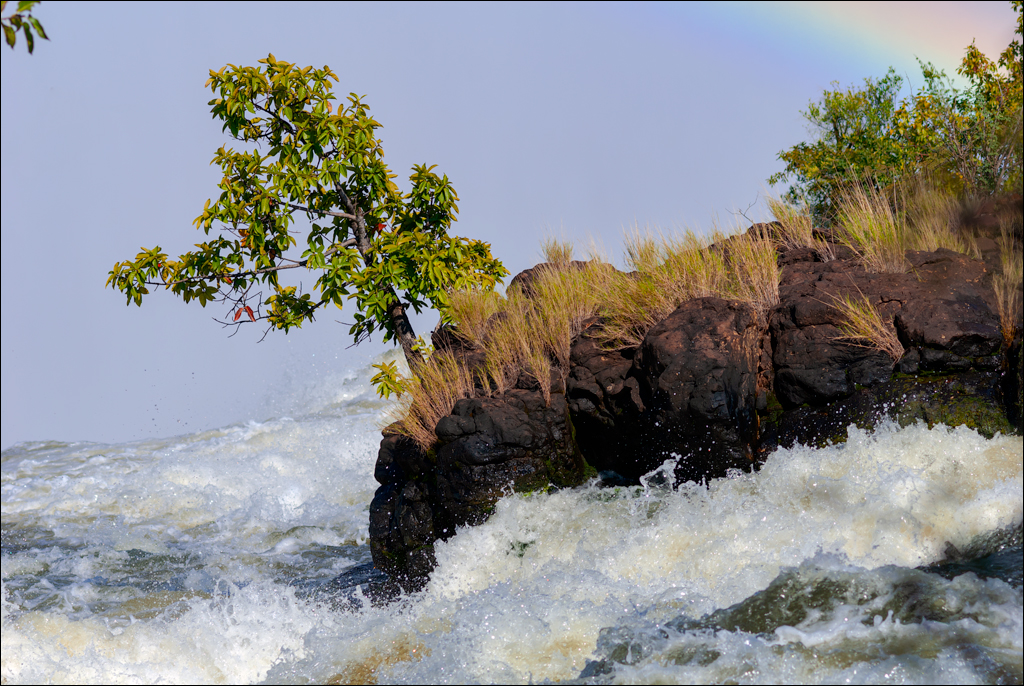 Zambia 20080419 20 180