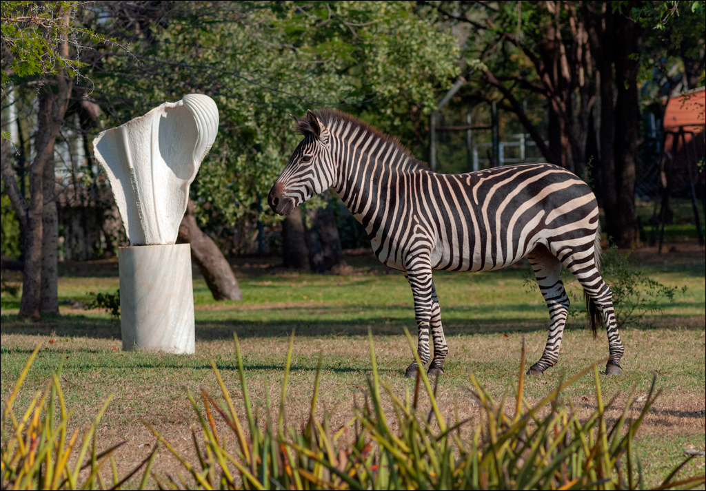 Zambia 20080419 20 234