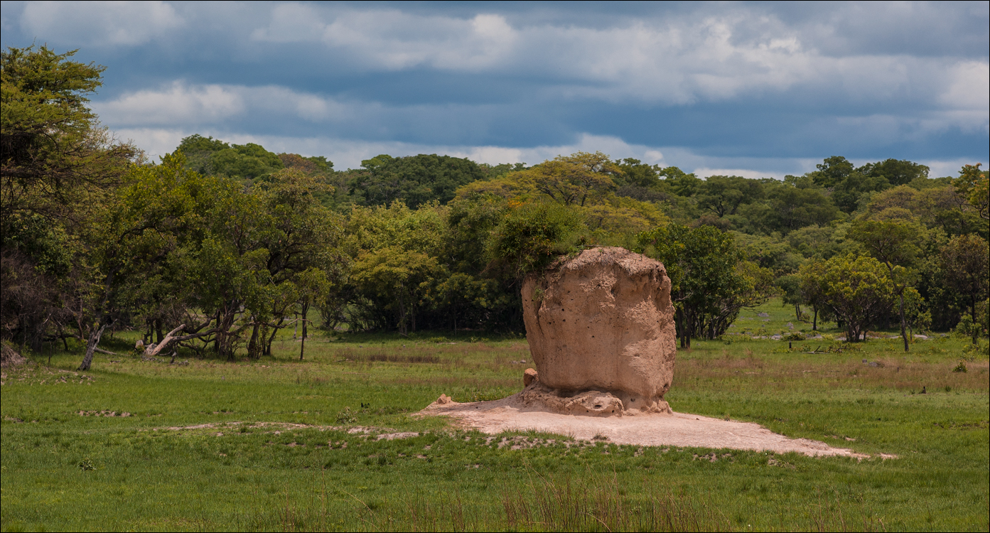 Zambia Chaminuka dec2006 131